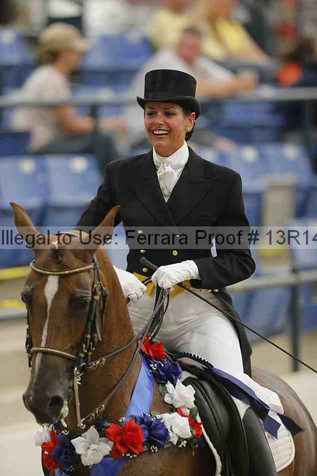 Proof Number 13r14_3386