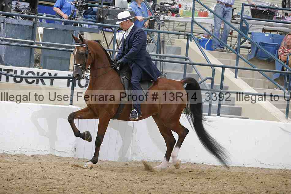 Proof Number 13r14_3392