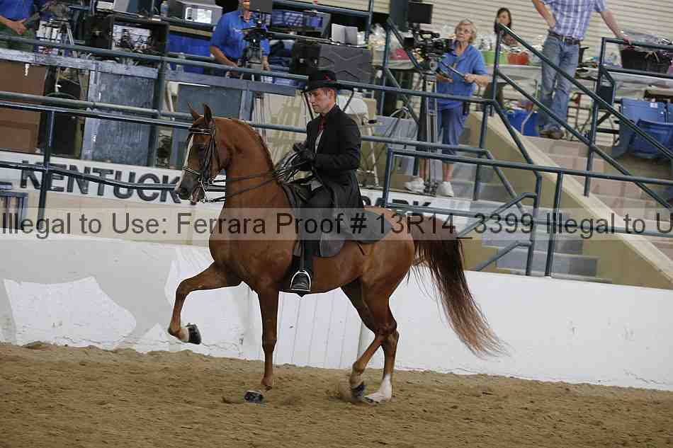 Proof Number 13r14_3399