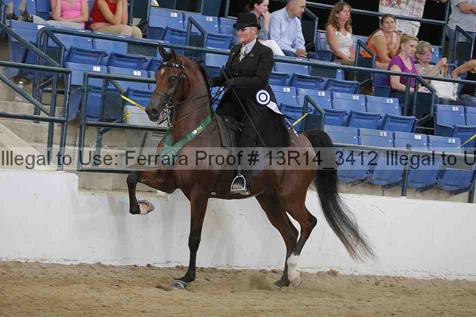 Proof Number 13r14_3412