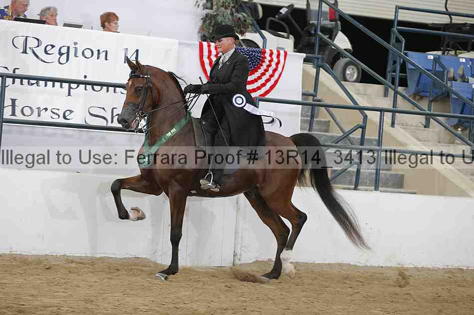 Proof Number 13r14_3413
