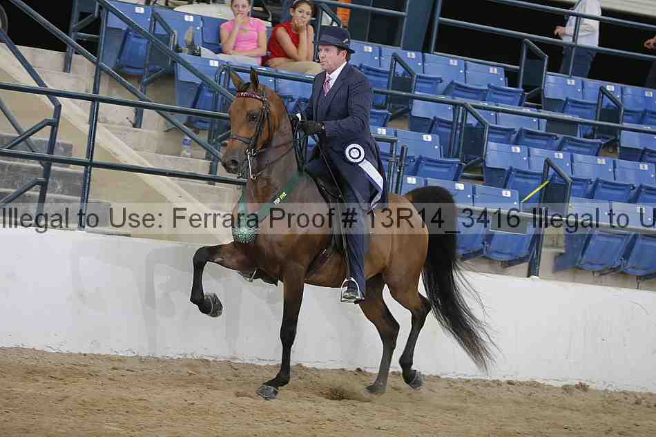 Proof Number 13r14_3416
