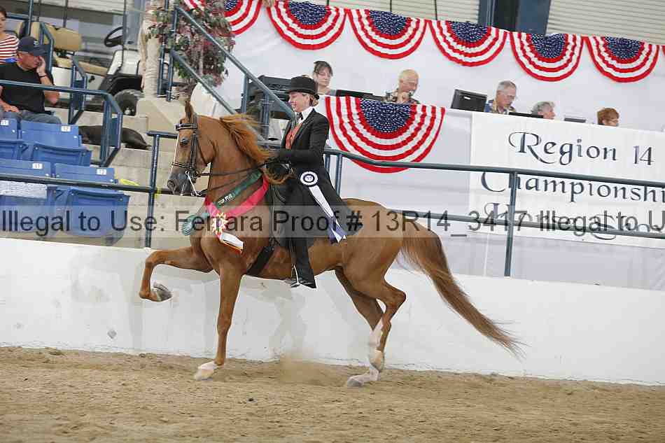 Proof Number 13r14_3417