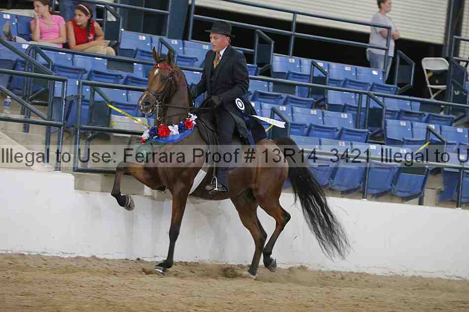 Proof Number 13r14_3421
