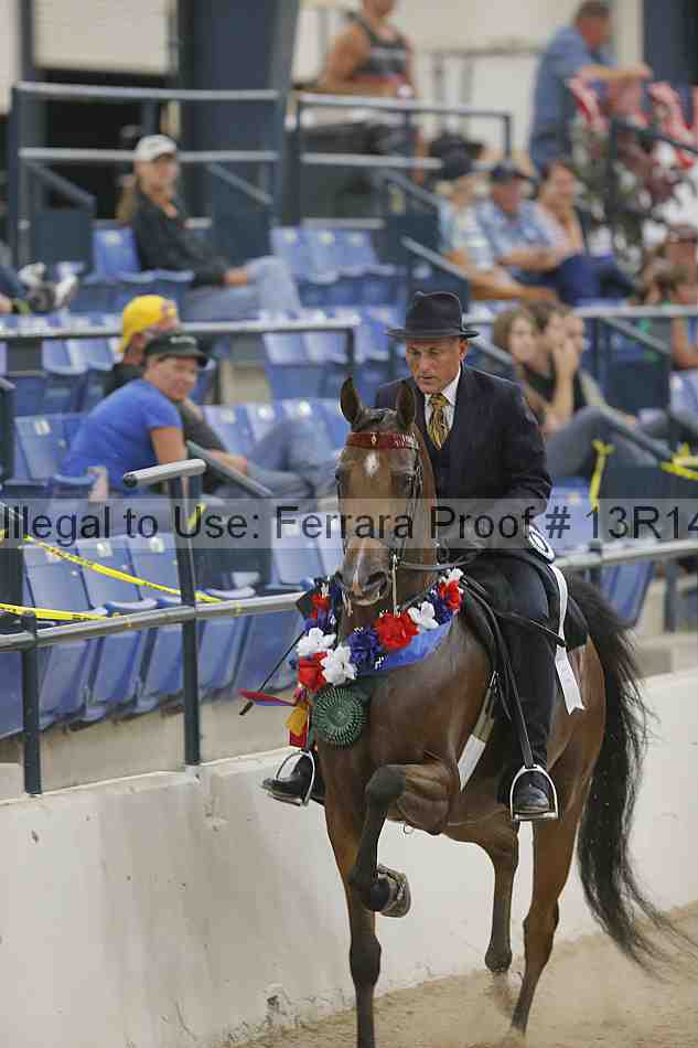 Proof Number 13r14_3422