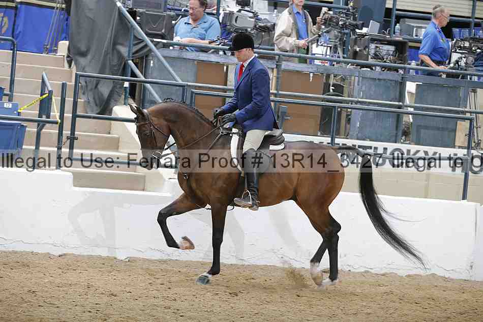 Proof Number 13r14_3427