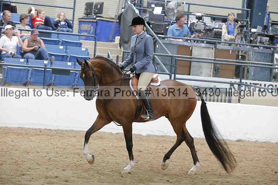 Proof Number 13r14_3430