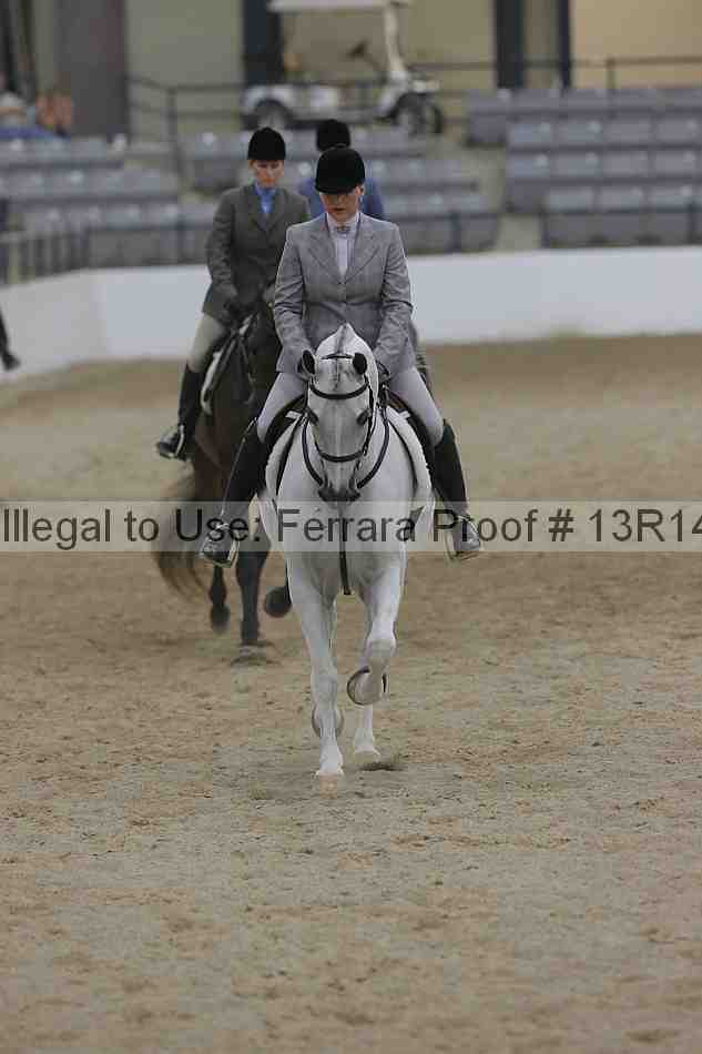 Proof Number 13r14_3453