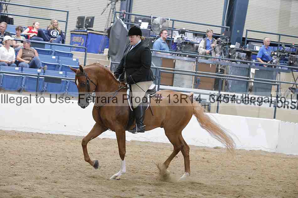 Proof Number 13r14_3454