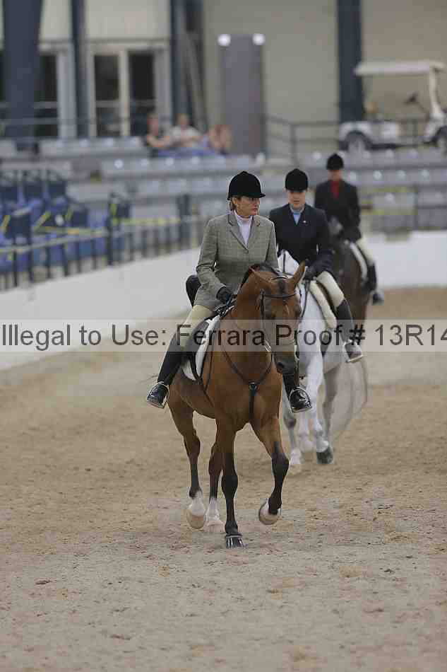 Proof Number 13r14_3461