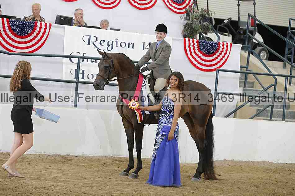 Proof Number 13r14_3469