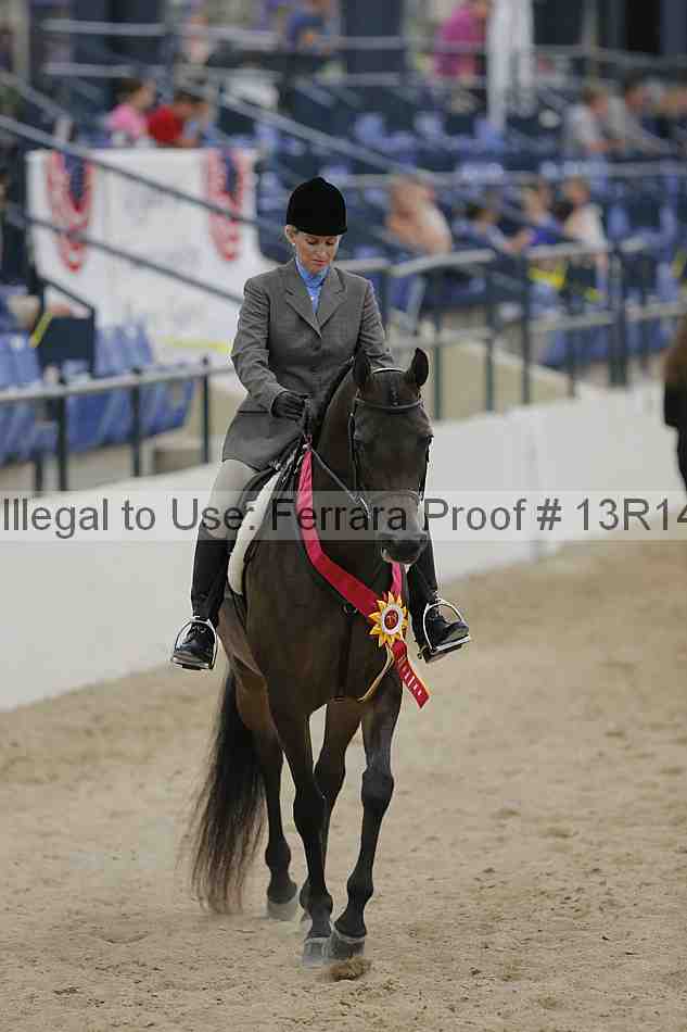 Proof Number 13r14_3470
