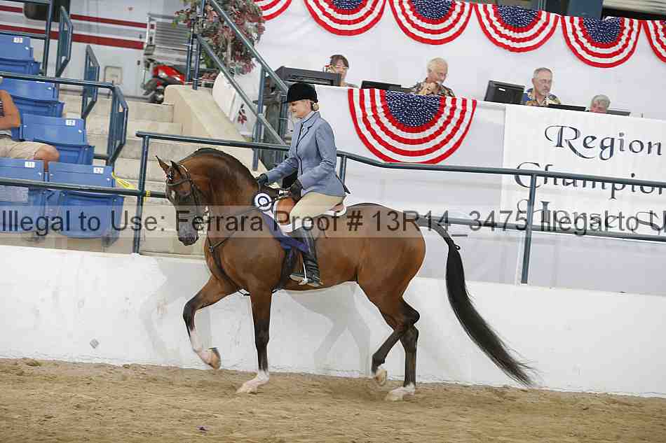 Proof Number 13r14_3475