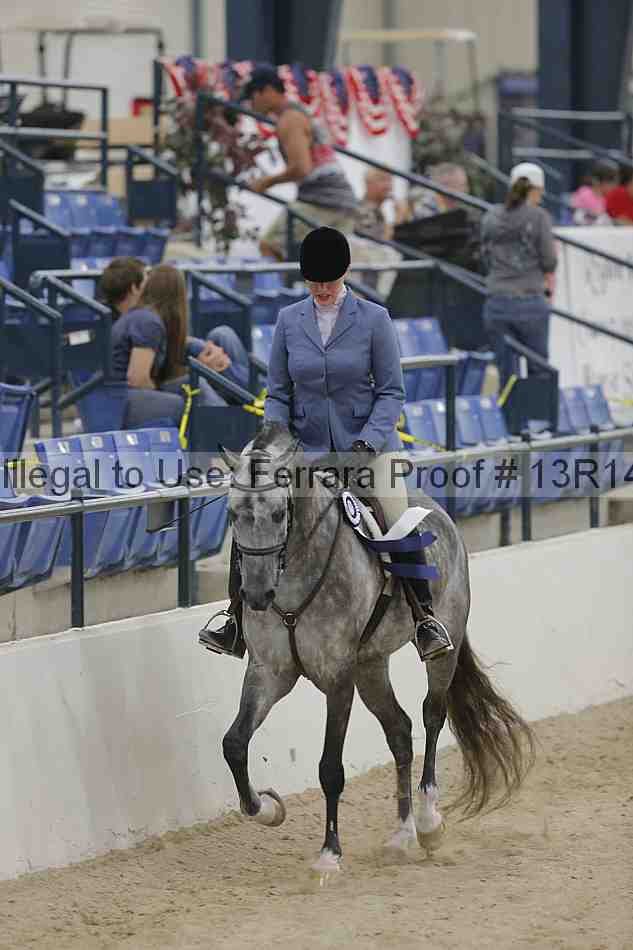 Proof Number 13r14_3481
