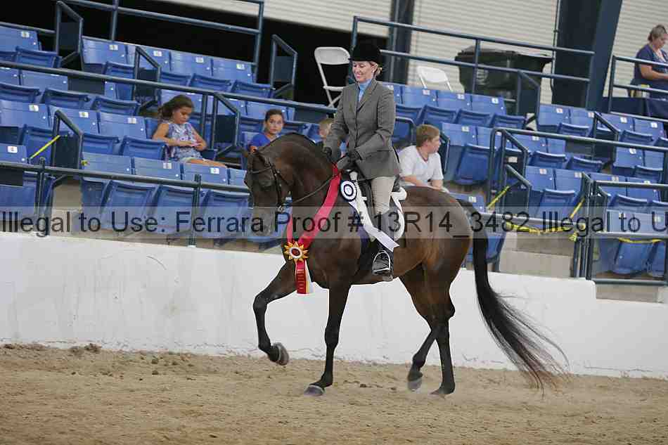 Proof Number 13r14_3482