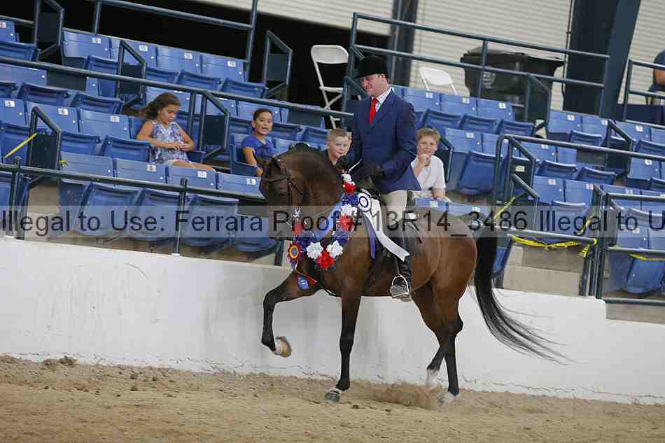 Proof Number 13r14_3486