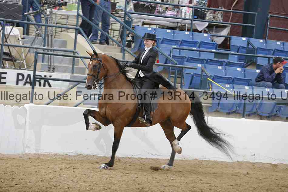 Proof Number 13r14_3494