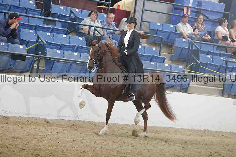Proof Number 13r14_3496