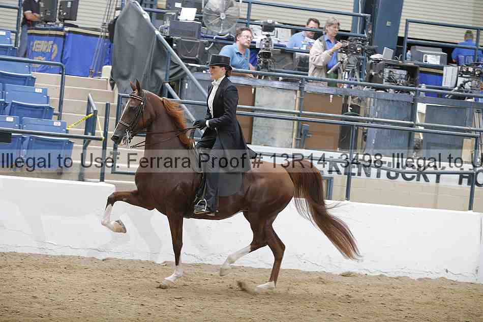 Proof Number 13r14_3498
