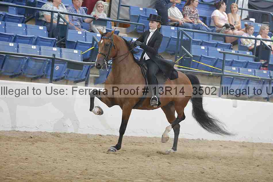 Proof Number 13r14_3502