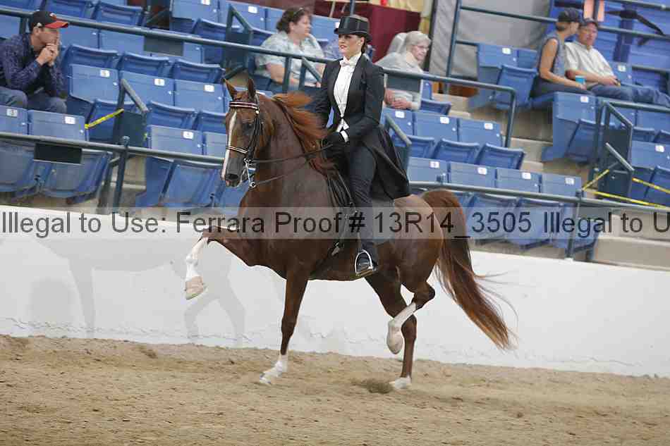 Proof Number 13r14_3505