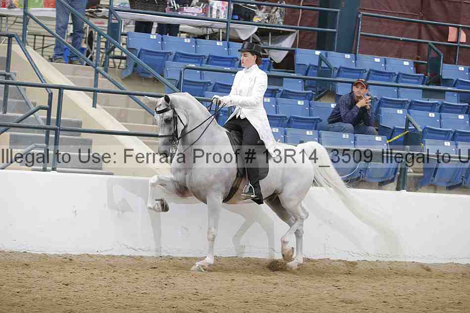 Proof Number 13r14_3509