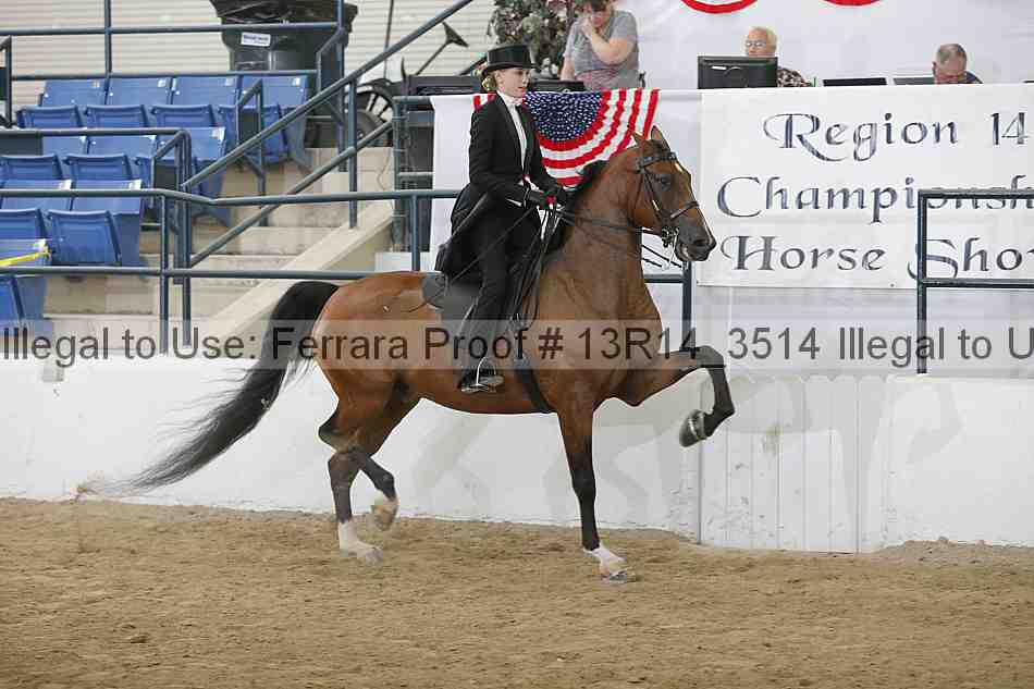 Proof Number 13r14_3514