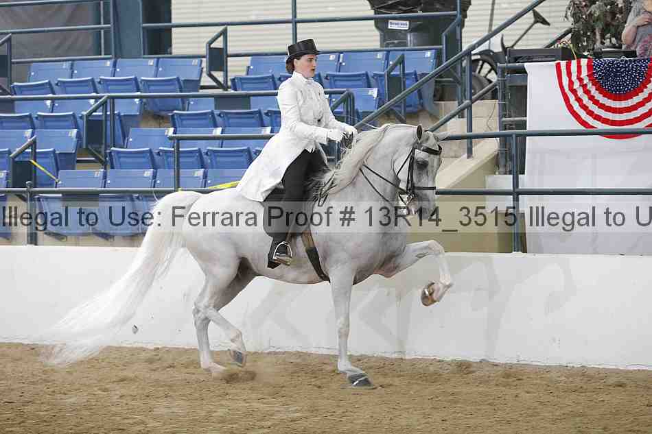 Proof Number 13r14_3515