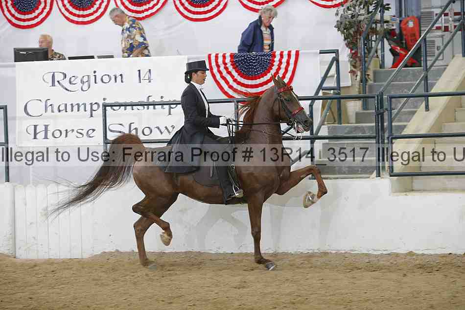 Proof Number 13r14_3517