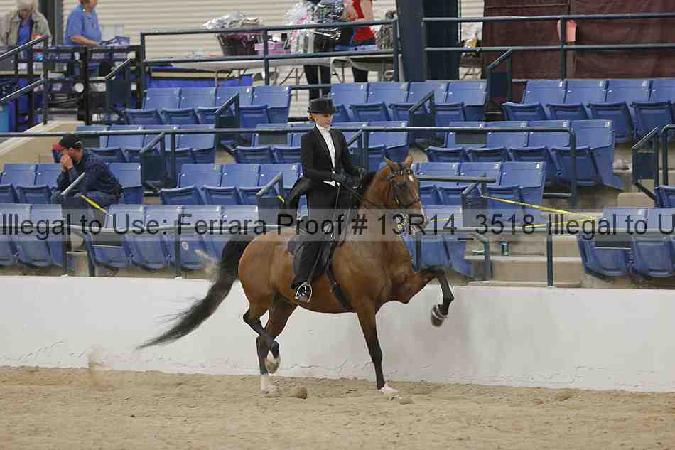 Proof Number 13r14_3518