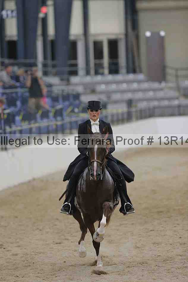 Proof Number 13r14_3521