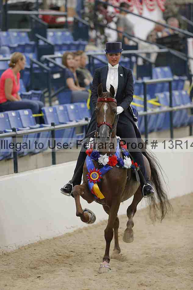 Proof Number 13r14_3526