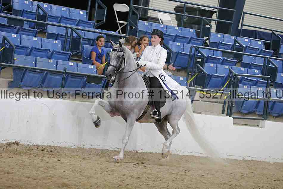 Proof Number 13r14_3527