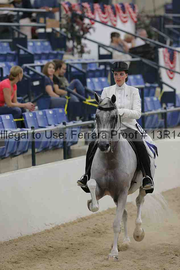 Proof Number 13r14_3531