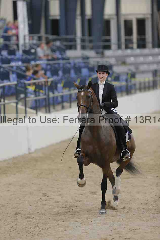Proof Number 13r14_3534