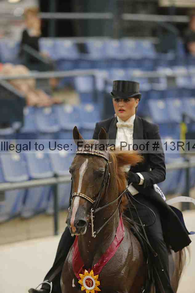Proof Number 13r14_3538
