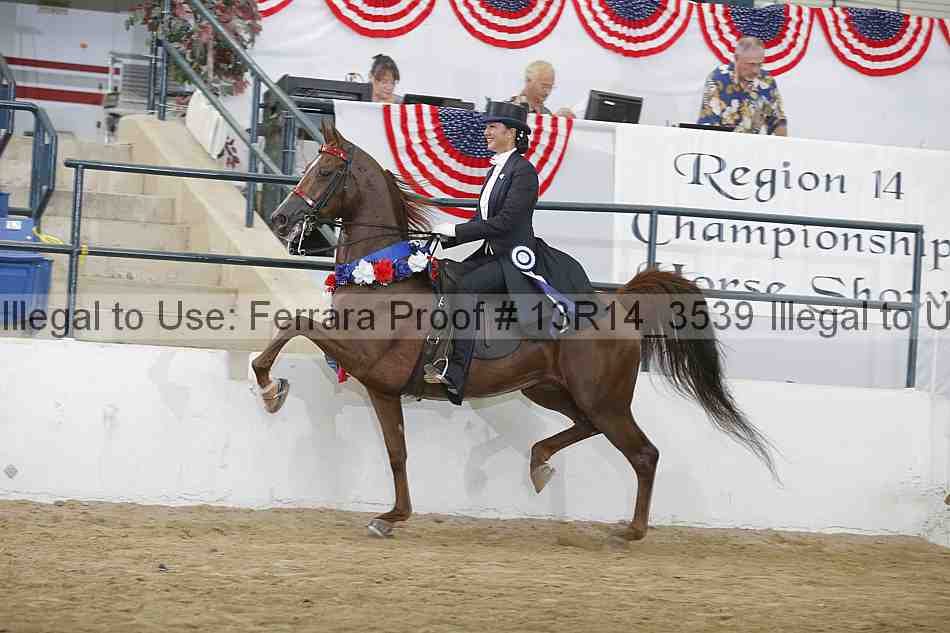 Proof Number 13r14_3539