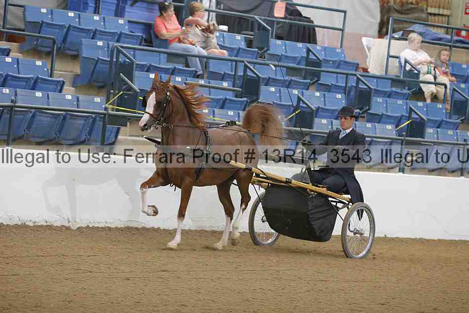 Proof Number 13r14_3543