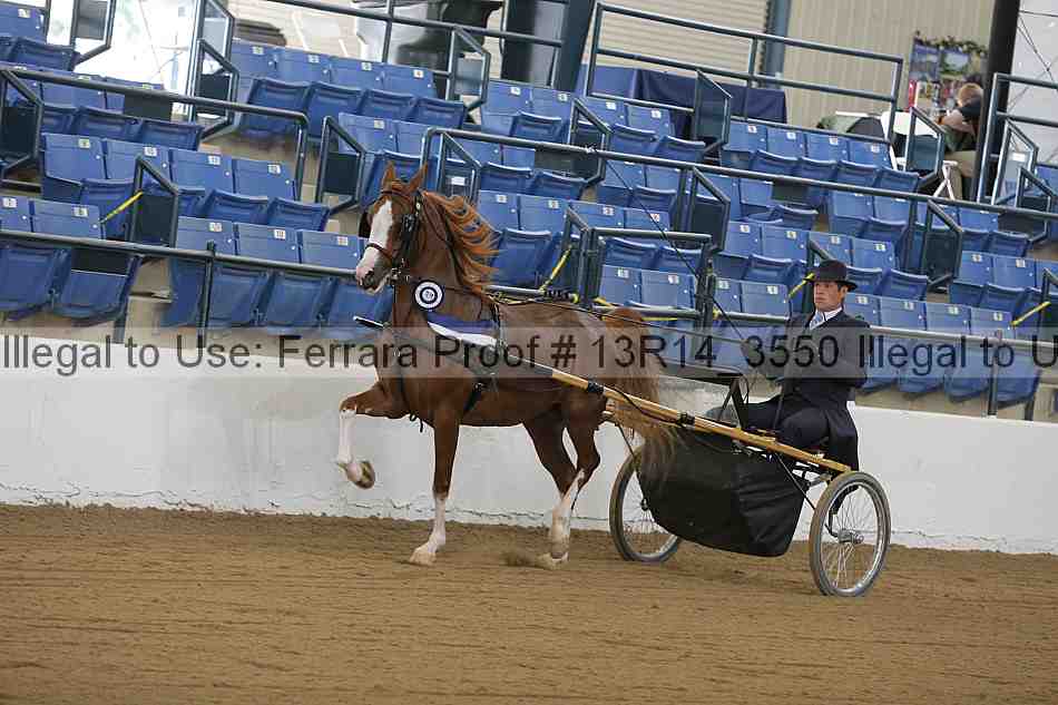 Proof Number 13r14_3550