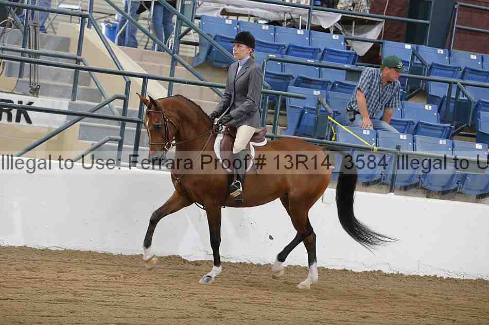 Proof Number 13r14_3584