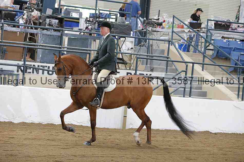 Proof Number 13r14_3587