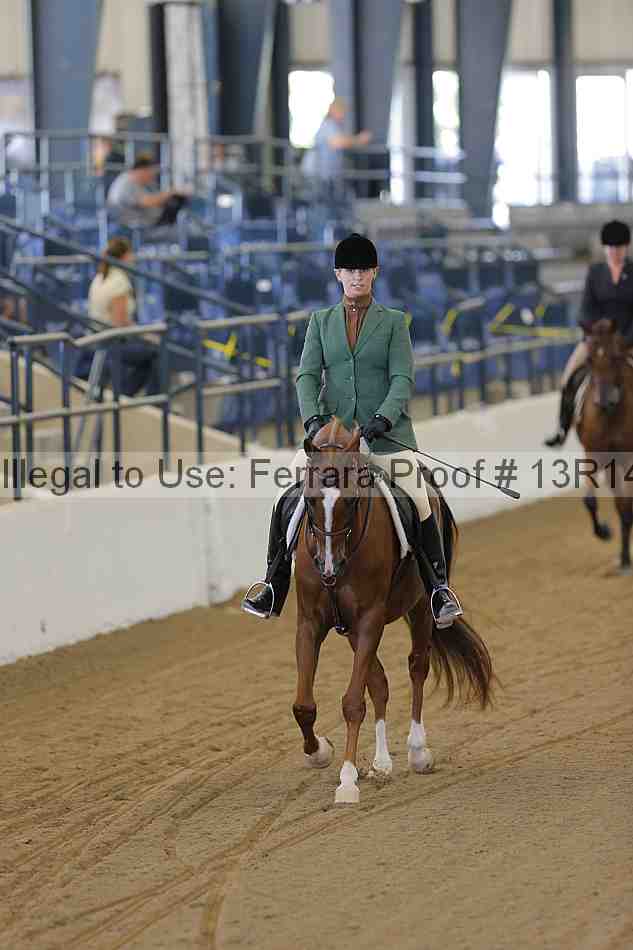 Proof Number 13r14_3588