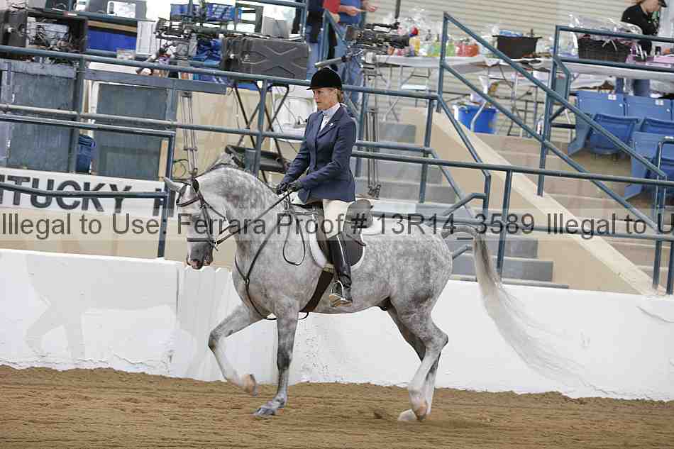 Proof Number 13r14_3589