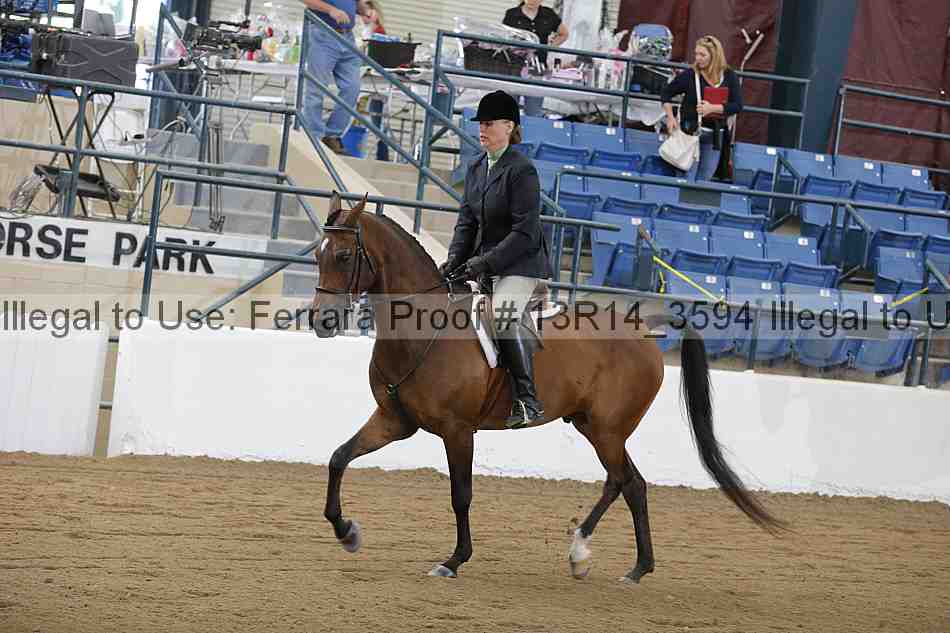 Proof Number 13r14_3594