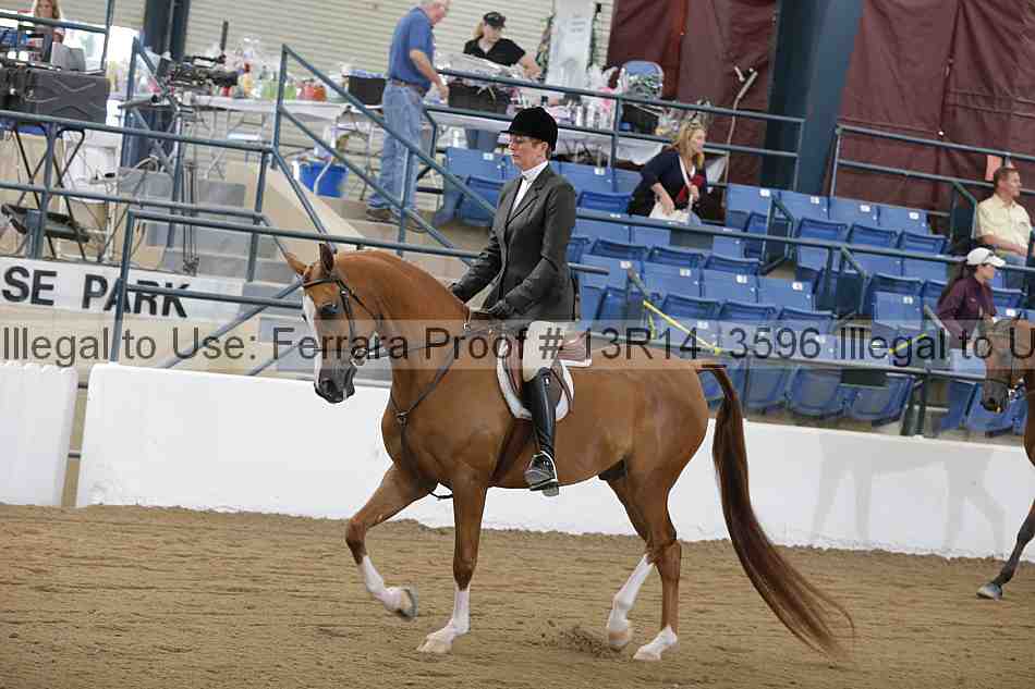 Proof Number 13r14_3596
