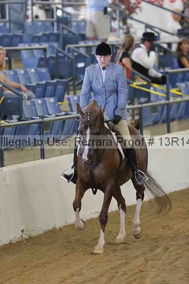 Proof Number 13r14_3597