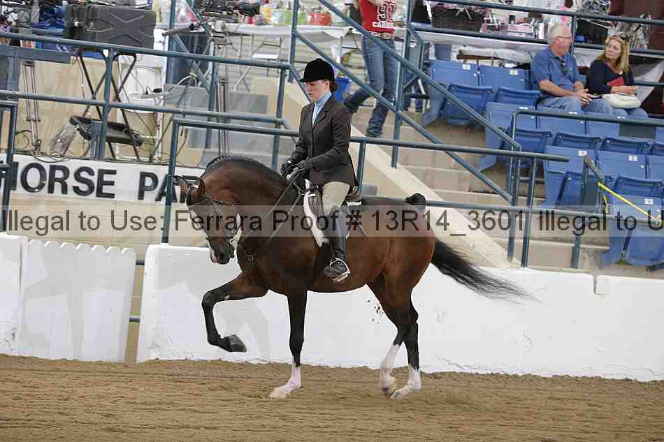 Proof Number 13r14_3601