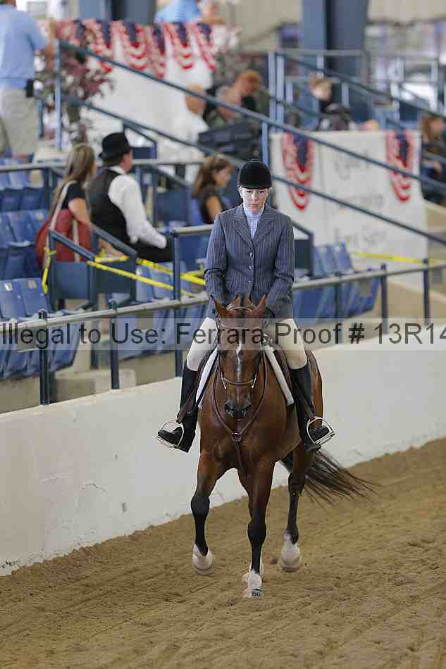 Proof Number 13r14_3602