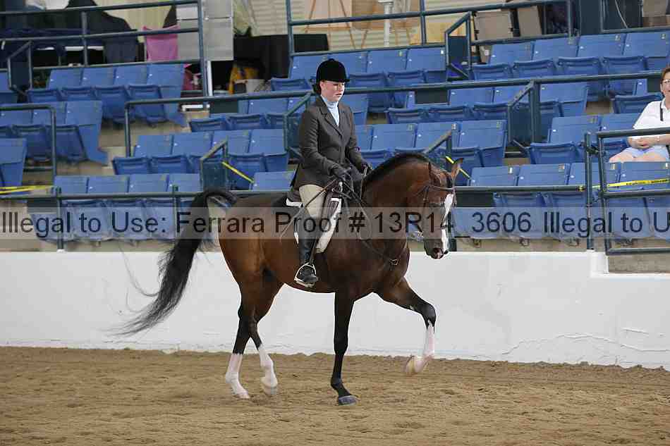 Proof Number 13r14_3606