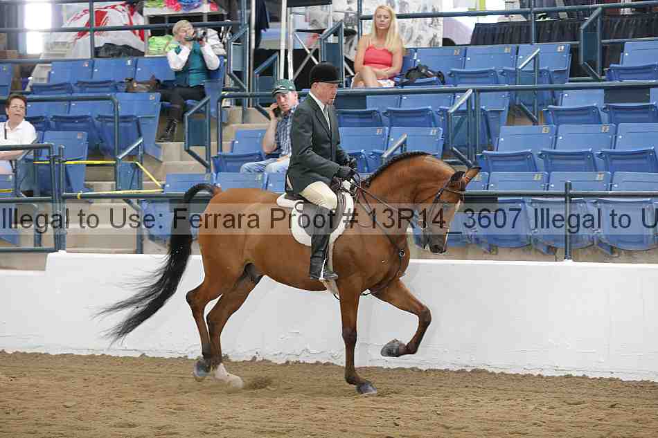 Proof Number 13r14_3607